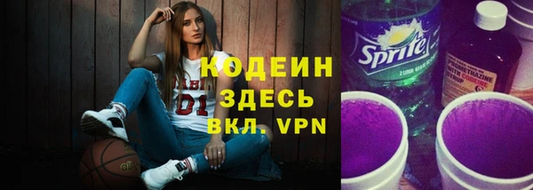 хмурый Сосновка
