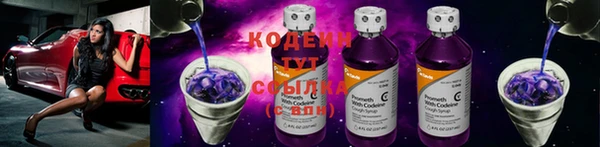 индика Дмитриев