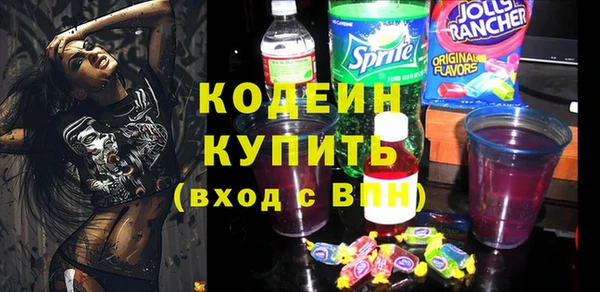 молекула духа Няндома
