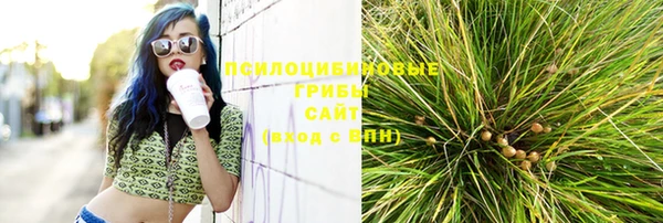 эйфоретик Сосновоборск