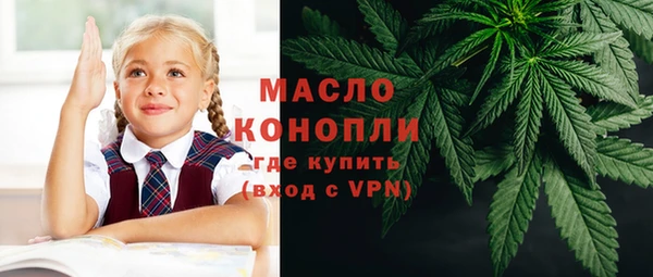 молекула духа Няндома