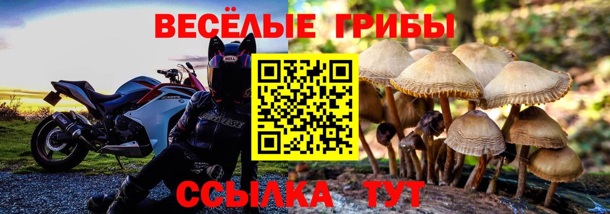 Псилоцибиновые грибы мицелий Глазов