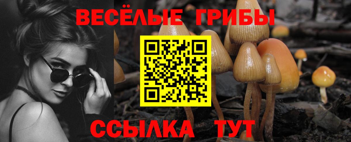 Галлюциногенные грибы Magic Shrooms  Галлюциногенные грибы Psilocybine cubensis  цена наркотик  Вход с VPN  Глазов 