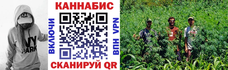 купить   Глазов  Шишки марихуана конопля 